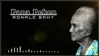 Pana Peken - Ronald Bahy | Lagu Daerah Lamaholot | Lirik Musik Video