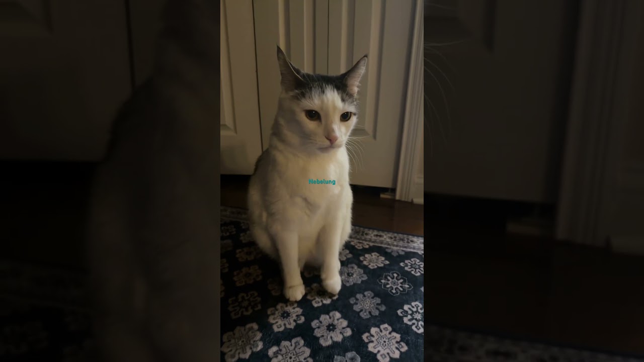 Бонифаций немного о себе 