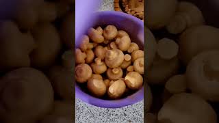 Шашлык из шампиньонов вкусно шашлык грибнойшашлык bbq намангале грибынауглях шампиньоны гриб