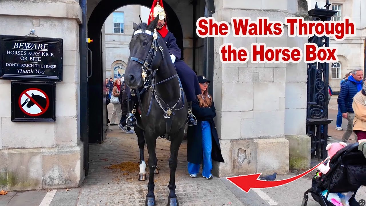 😡She Didn’t EXPECT This Reaction After Going Through the Horse Box..!
