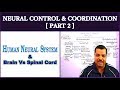 Neural Control and Coordination for NEET | Part 2 | Neural System &amp; Brain Vs Spinal Cord