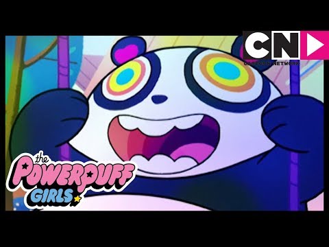 Суперкрошки | Возвращение Панды! | Cartoon Network