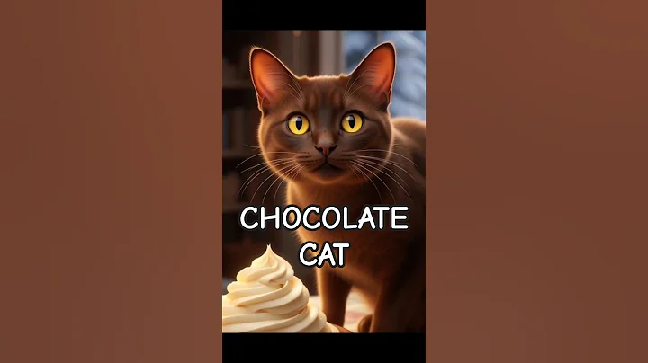 Video 11442191: tabby cat meow, burmese cat meowing, tabby cat black, chocolate burmese, cat meowing happy
