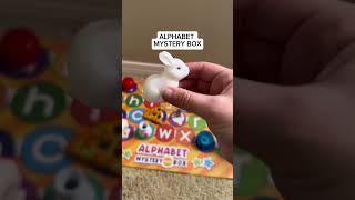 Teach Letters and Letter Sounds | Alphabet Mystery Box | What's Included