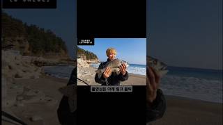 #쇼츠 울진 감성돔 원투 낚시 포인트 나곡 해변