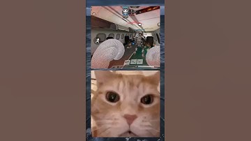 Average random teammates....🥴🙂