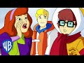 Scooby-Doo! in Italiano | Tre sono troppi | WB Kids