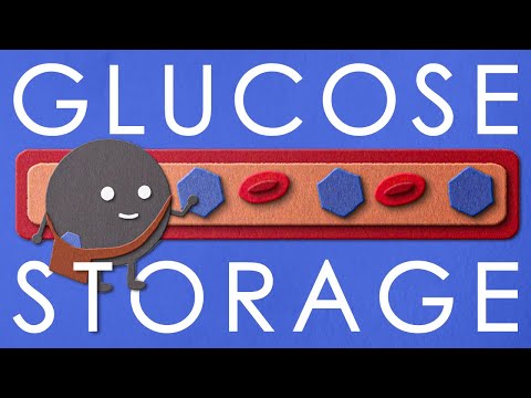 Video: Var lagras överskott av glukos som glykogen i kroppen?