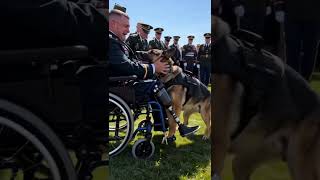 This soldier's reunion with his K9 partner will make you cry 😭❤️