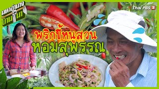 พริกขี้หนูสวนหอมสุพรรณ | มหาอำนาจบ้านนา