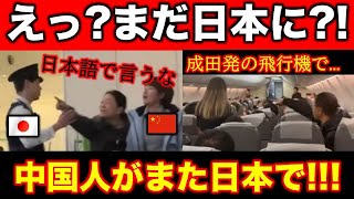 まだ日本渡航自粛に応じない中国人観光客が日本でまた迷惑行為を?!!羽田空港で台湾は中国の領土だと大暴れ・成田発の飛行機が回航する事件まで?!!