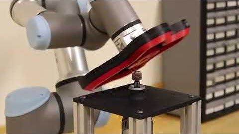 Collision Avoidance and External TCP Path Motion Controlled by Actin