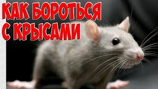 Как избавиться от крыс . Супер крысоловка. How to get rid of rats and mice Super rat trap