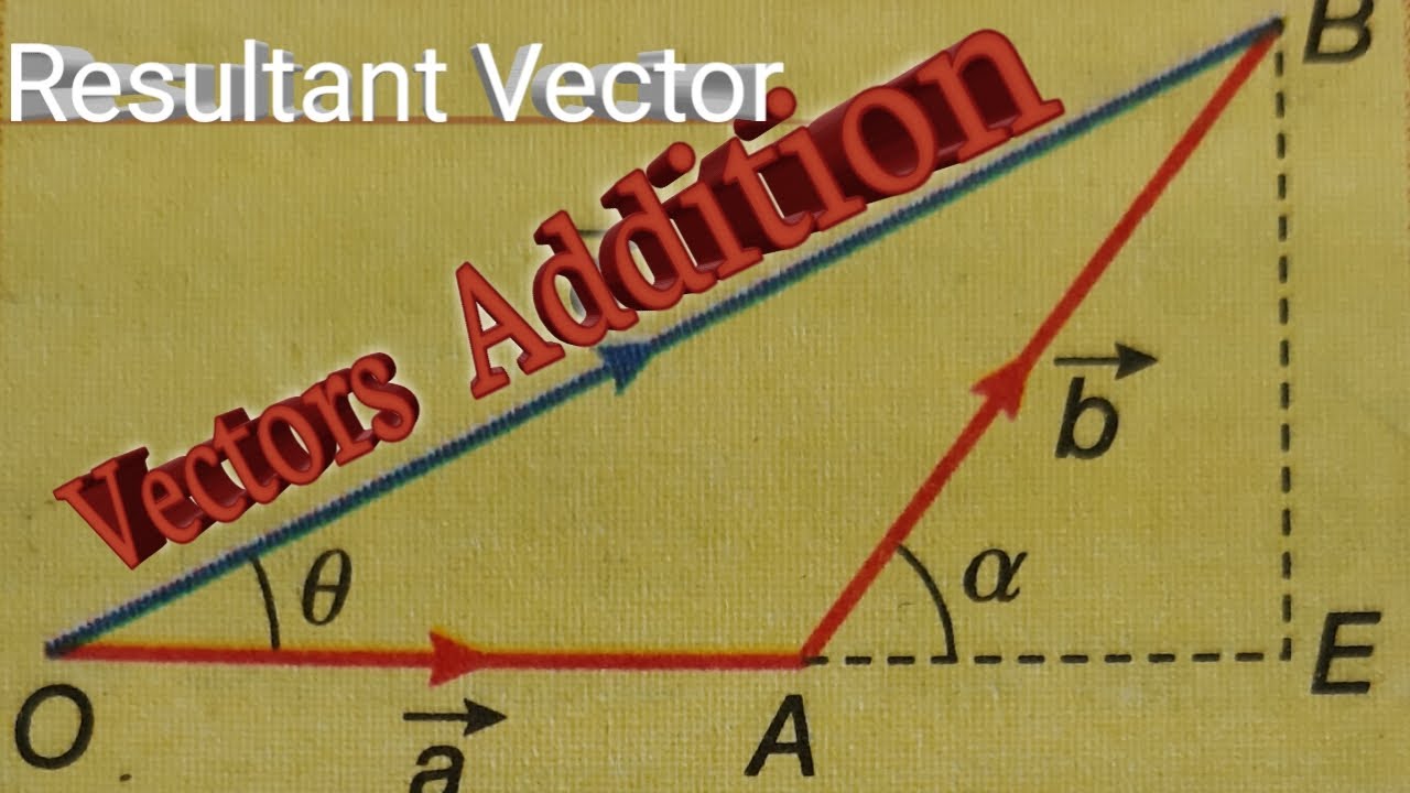 vector assignment class 11