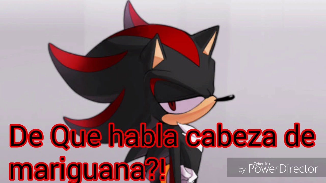 (SONADOW) El intrepido gato que se enamoro ~ Cap 19