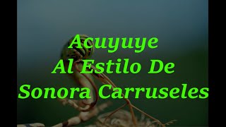 Acuyuye - Sonora Carruseles - Karaoke