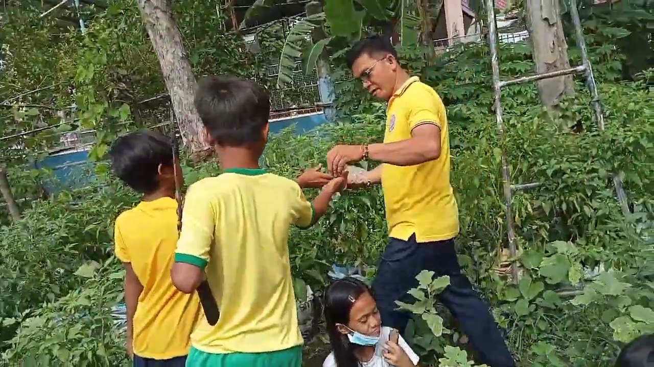 Nagpameryenda ako sa mga bata ng nilagang mani. - YouTube