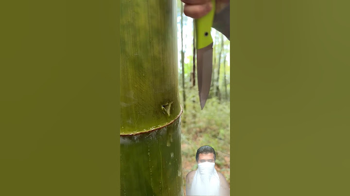 The GIRL's skills are AMAZING🔪🎋#camping #survival #bushcraft #outdoors #lifehack
