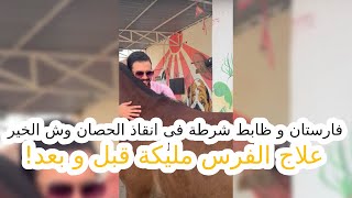 فارستان و ظابط شرطة فى انقاذ الحصان وش الخير.. علاج الفرس مليكة قبل و بعد