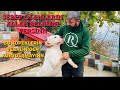 KÖPEKLERİMİ BARIKNAKTAN ALMAYA GELDİLER.SEBEP OLANLARI ALLAH’A HAVALE EDİYORUM.ÇOK ÜZGÜNÜZ