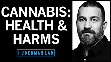 The Effects of Cannabis (Marijuana) on the Brain & Body | Huberman Lab Podcast #92