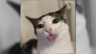 Neck Deep  Wish You Were Here speed Up