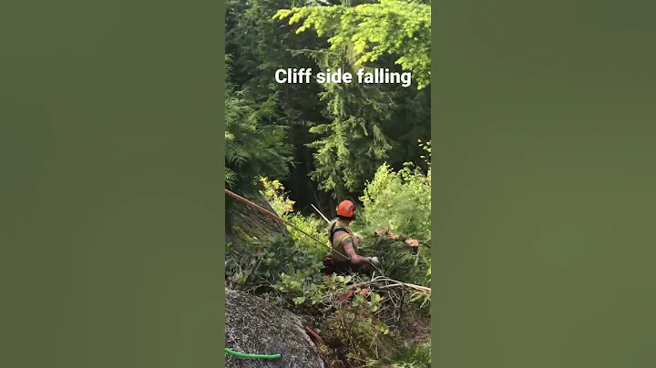 Cliffhanger falling #arborist #vanisle #treeclimber