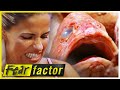 STAGE COACH Drag & FISH Dinner 🐟| Fear Factor US | S03 E05 | Full Episodes | Thrill Zone