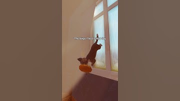 There not bugs there features right? #indiegames #gamedesign #gamedev #gamedevelopment #fyp #gaming