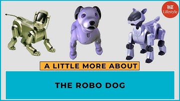 Sony Aibo Your Robot Dog Companion | A Little More About