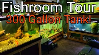Fishroom Tour with Trafish Aquatics!
