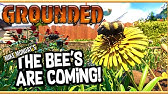 New Burgl Chip Grounded Update 3 0 The Jungle Temple Burgl Chip Youtube New Burgl Chip Grounded Update 3 0 The Jungle Temple Burgl Chip Youtube