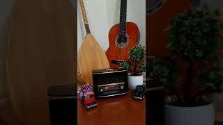 Siyahbeyazdizeler - Yavuz Bülent Bakiler - Cebeci İstasyonu Ve Sen