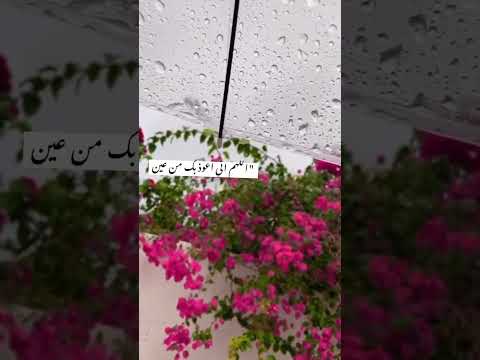 عين الحسود لا تسود