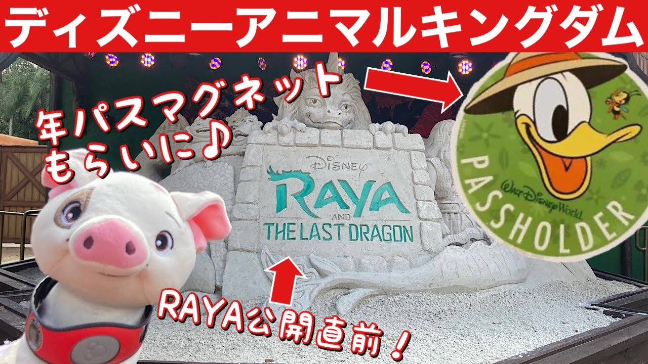 Wdw 年パス マグネット ディズニー21年最新映画 Raya いっぱいのアニマルキングダム ディズニーワールド Youtube