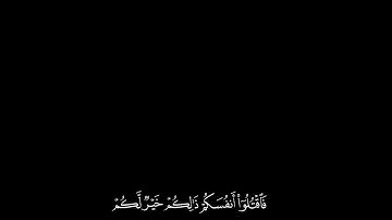 كروما قران شاشه سوداء | القارئ محمد اللحيدان