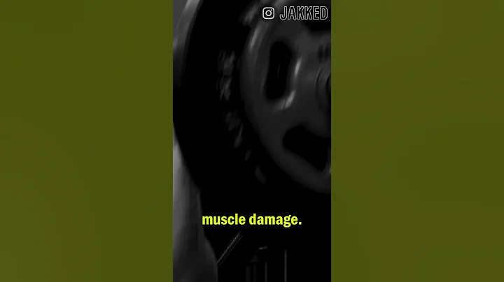 What I Do in The Gym To Build Muscle!