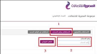 استعلم عن فاتورة التليفون الارضي شهر يناير 2018 موقع المصرية للاتصالات