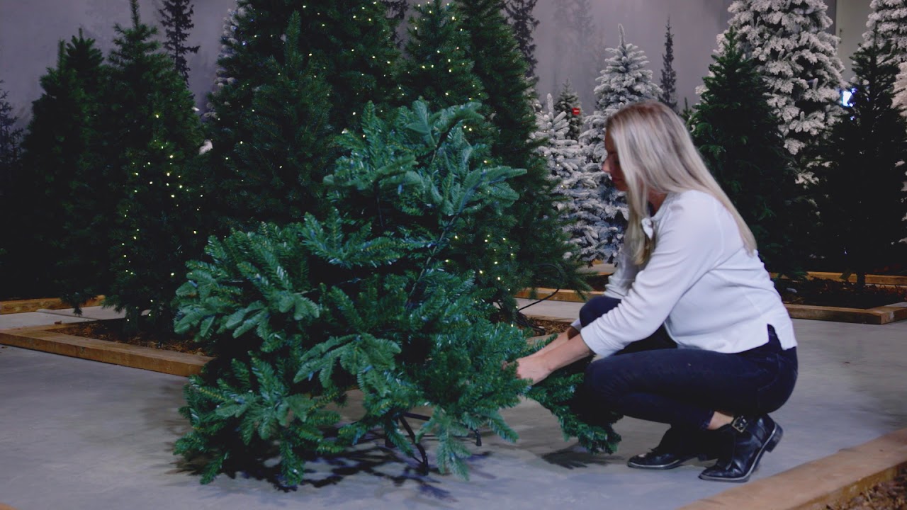 Shop Bolton - Grn - BlackBox knstlicher Weihnachtsbaum Online - Plant New  Day