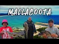 Mallacoota Camping Trip (2025)