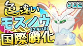 ポケモン剣盾 トゲピーの卵が出来ない育て屋で別々に遊んでいる進化作り方 Youtube