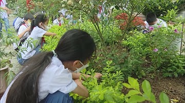 Tổng kết công tác đội và phong trào thiếu nhi năm học 2021 - 2022