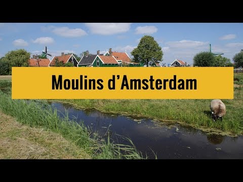 Vidéo: Guide des moulins à vent d'Amsterdam