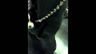 Man On Caltrain With Dog In Pocket