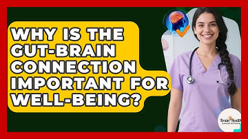 Why Is The Gut-brain Connection Important For Well-being? - Brain Health Support Network