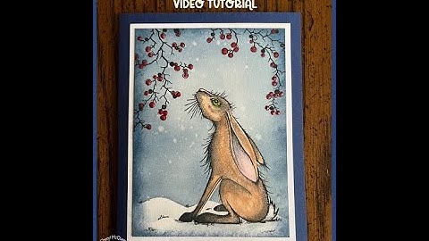 "How to Use Lavinia Masking Sheets" Video Tutorial