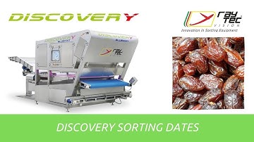 Discovery colour sorting dates | Raytec Vision