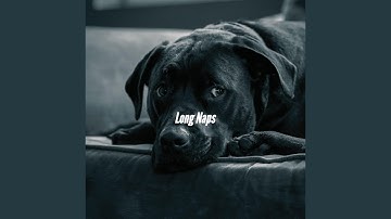 Glorious Moods for Amusing Days