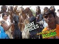 Bakra for sale, Seller Details | Nagapuri goat15kg 4000, Goat prices in Avantipuram mandi