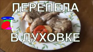 Как приготовить перепелов. Перепела в духовке. Рецепт. Как приготовить перепелов. Перепела в духовке. Рецепт.